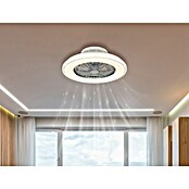 Globo Plafondventilator Carusso met verlichting (Chroom / Wit, Diameter: 50 cm, 40 W) | BAUHAUS