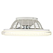 Globo Plafondventilator Carusso met verlichting (Chroom / Wit, Diameter: 50 cm, 40 W) | BAUHAUS