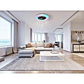 Globo Plafondventilator Alva met verlichting (Zwart / Wit, Diameter: 59,5 cm, 40 W) | BAUHAUS