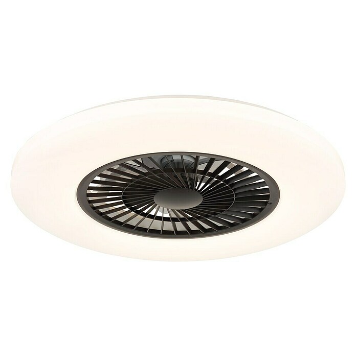 Globo Plafondventilator Alva met verlichting (Zwart / Wit, Diameter: 59,5 cm, 40 W) | BAUHAUS