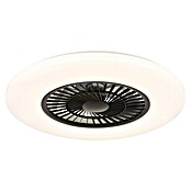 Globo Plafondventilator Alva met verlichting (Zwart / Wit, Diameter: 59,5 cm, 40 W) | BAUHAUS