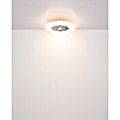 Globo Plafondventilator Alva met verlichting (Zwart / Wit, Diameter: 59,5 cm, 40 W) | BAUHAUS