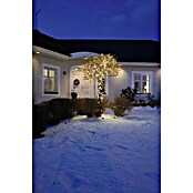 Konstsmide LED-Lichterkette (Außen, 120-flammig, Lichtfarbe: Bernsteinfarben)