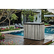 Keter Truhe Store it out Darwin (L x B x H: 80 x 140 x 118 cm, Stormgrey, Kunststoff) | BAUHAUS