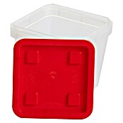 Wisent Aufbewahrungsbox (L x B x H: 90 x 90 x 84 mm, Kunststoff) | BAUHAUS