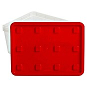 Wisent Aufbewahrungsbox (L x B x H: 135 x 180 x 84 mm, Kunststoff) | BAUHAUS