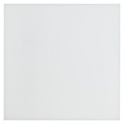 Eglo LED panel Turcona-Z  (22,8 W, Do x Š x V: 45 x 45 x 7,5 cm, Bela, RGBW) | 3016 - Deckenleuchte | CACB - Deckenleuchten | CAC - Indoorleuchten | CA - Beleuchtung | C - Elektro | BAUHAUS
