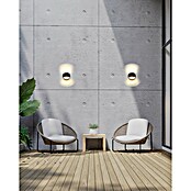 Ferotehna Vanjska zidna LED svjetiljka Denton  (9 W, 135 x 120 x 120 mm, Crna, IP54) | BAUHAUS