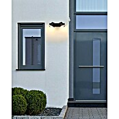 Ferotehna LED zunanja stenska svetilka Denton  (10 W, 265 x 90 x 130 mm, Črna, IP54) | 3078 - Wandleuchte Outdoor | CAJA - Outdoorleuchten Hochvolt | CAJ - Outdoorleuchten | CA - Beleuchtung | C - Elektro | BAUHAUS