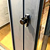 Micel Brimic Pomo para puerta 6807 Negro (L x An: 70 x 29 mm, Aluminio)