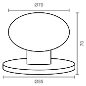 Micel Pomo para puerta 11904 (L x An: 7 x 7 cm, Latón)