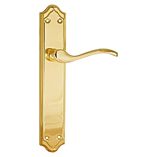 Micel Conjunto de picaporte 1666 (An x L: 107 x 250 mm, Latón, Pulido)