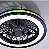 Just Light Ventilador de techo Brandon (Diámetro: 46,5 cm, Negro, 36 W, RGB) | BAUHAUS