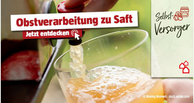 Apfelsaft wird in ein Glas eingelassen, Titel Obstverarbeitung zu Saft