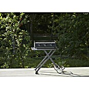 Cozze Plinski roštilj Plancha G-700  (Površina za pečenje (Š x D): 66,5 x 35 cm, 6,6 kW, Broj plamenika: 3 Kom.) | BAUHAUS