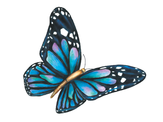Illustrierter, blauer Schmetterling