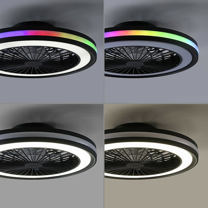Just Light Ventilador de techo Brandon (Diámetro: 46,5 cm, Negro, 36 W, RGB) | BAUHAUS