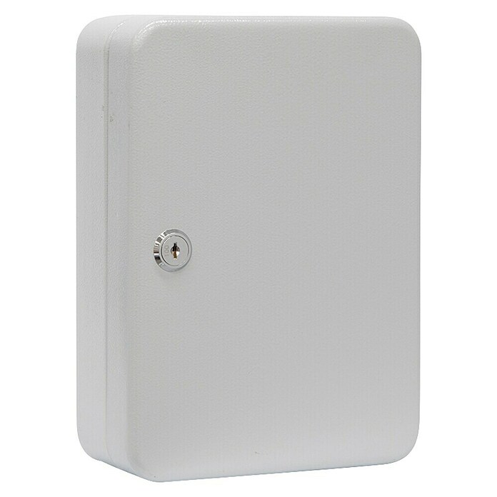 Arregui Armario para llaves PLL60 (L x An x Al: 8 mm x 15 cm x 25 cm, Gris)