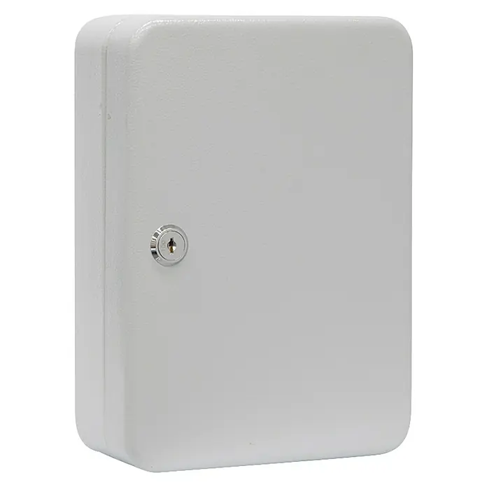 Arregui Armario para llaves PLL60 - L x An x Al: 8 x 15 x 25 cm, Gris - Imagen de una caja de pared metálica con cerradura en gris claro, ideal para el almacenamiento seguro de llaves y objetos pequeños.
