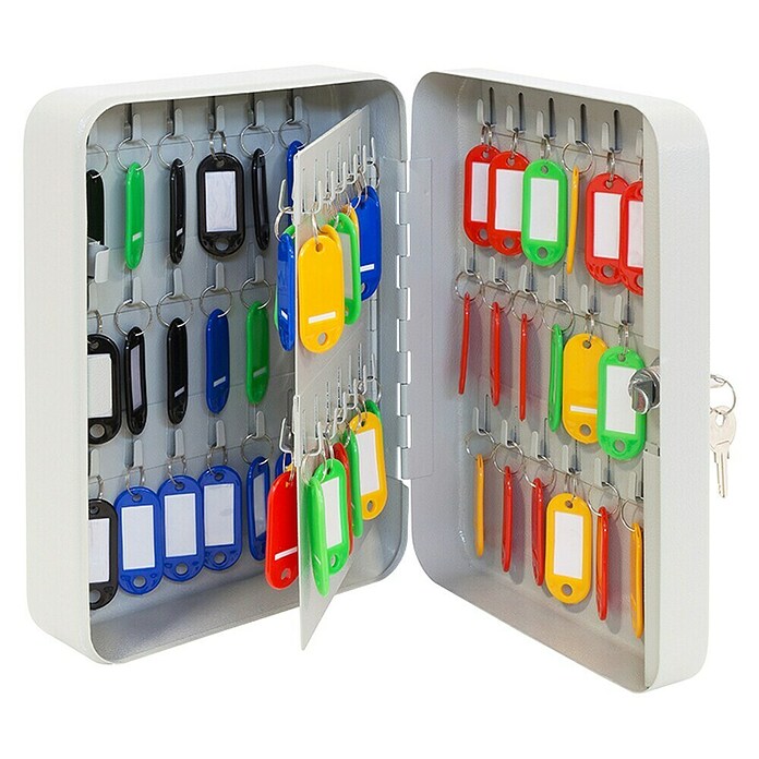 Arregui Armario para llaves PLL60 (L x An x Al: 8 mm x 15 cm x 25 cm, Gris)