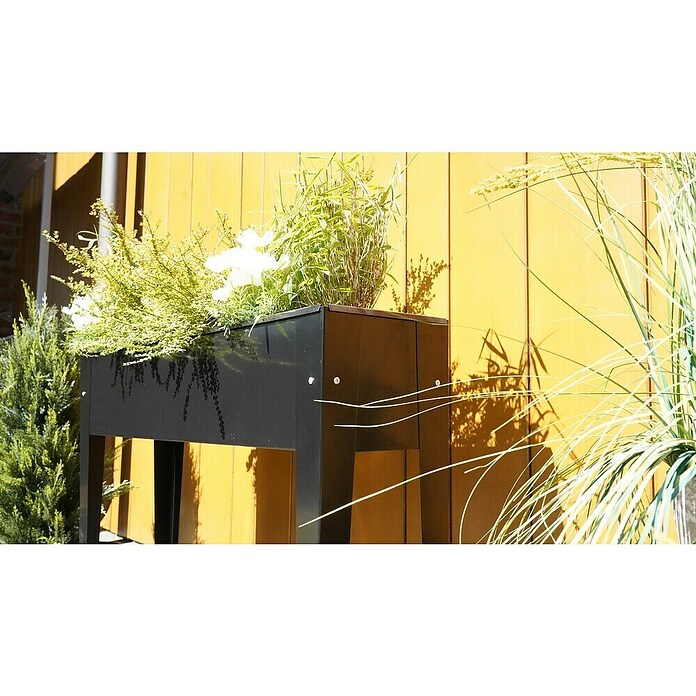 Siena Garden Hochbeet Slim (98 x 25 x 82 cm, Metall, Schwarz) | BAUHAUS
