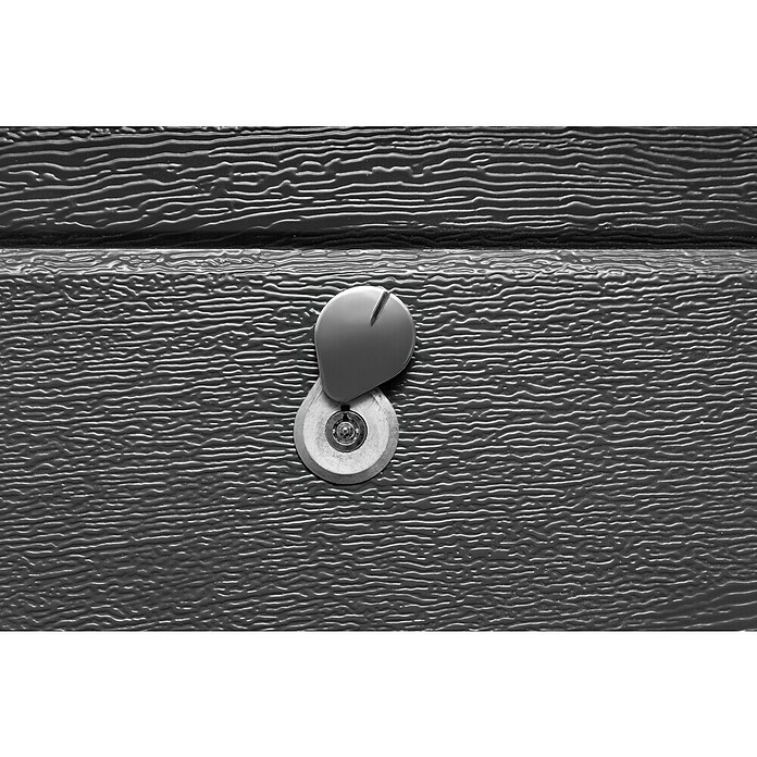 Schellenberg Notentriegelungs-Schloss Powerlift (Passend für: Garagentore bis 40 mm Stärke) | BAUHAUS