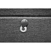 Schellenberg Notentriegelungs-Schloss Powerlift (Passend für: Garagentore bis 40 mm Stärke) | BAUHAUS