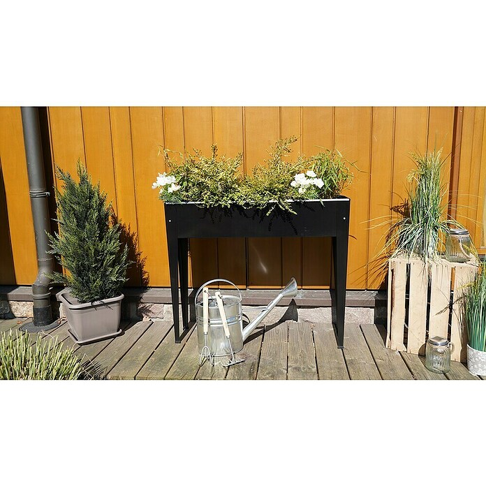 Siena Garden Hochbeet Slim (98 x 25 x 82 cm, Metall, Schwarz) | BAUHAUS