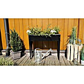 Siena Garden Hochbeet Slim (98 x 25 x 82 cm, Metall, Schwarz) | BAUHAUS