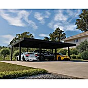 Palram – Canopia Carport Oslo (Medidas ext. (An x Pr): 5,96 x 9,01 m, Negro) | BAUHAUS
