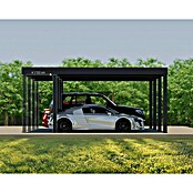 Palram – Canopia Carport Oslo (Medidas ext. (An x Pr): 5,96 x 6,07 m, Negro) | BAUHAUS
