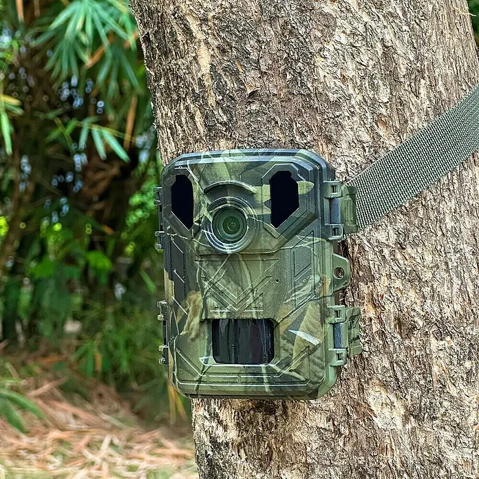 Denver Wildkamera WCS-5023 50 Megapixel - Camouflage - Wildkamera mit Tarnmuster, befestigt an einem Baumstamm mit einem grünen Riemen, zur Tierbeobachtung und Überwachung.