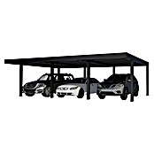 Palram – Canopia Carport Oslo (Medidas ext. (An x Pr): 5,96 x 9,01 m, Negro) | BAUHAUS