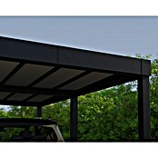 Palram – Canopia Carport Oslo (Medidas ext. (An x Pr): 5,96 x 6,07 m, Negro) | BAUHAUS