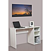 Meka Block Mesa de escritorio K-1606 (L x An x Al: 50 x 120 x 75 cm, Blanco) | BAUHAUS
