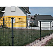 H+S Zauntechnik Drahtgittermatte (L x H: 2 x 0,97 m, Anthrazit, Stahl) | BAUHAUS
