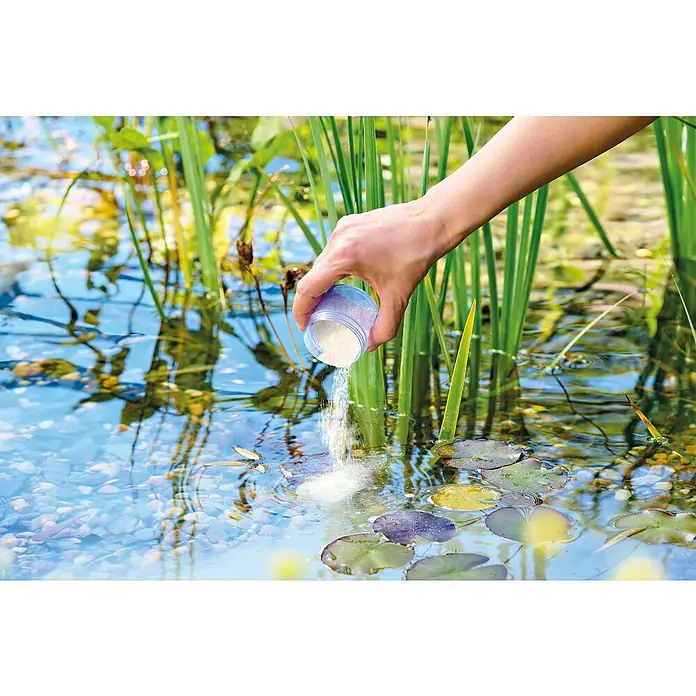 Oase AquaActiv Teichschlammentferner Sedifree - 500 ml - Zugabe von Teichpflegeprodukt in Pulverform zu einem Gartenteich mit Seerosen und Schilf. Es verbessert die Wasserqualität und das biologische Gleichgewicht.