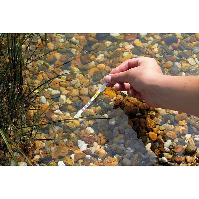 Oase AquaActiv Teststreifen - 50 Stk. - Ein Wasserteststreifen wird in einen Teich mit Steinen gehalten, um die Wasserqualität zu überprüfen. Deutliche Farbfelder auf dem Streifen.