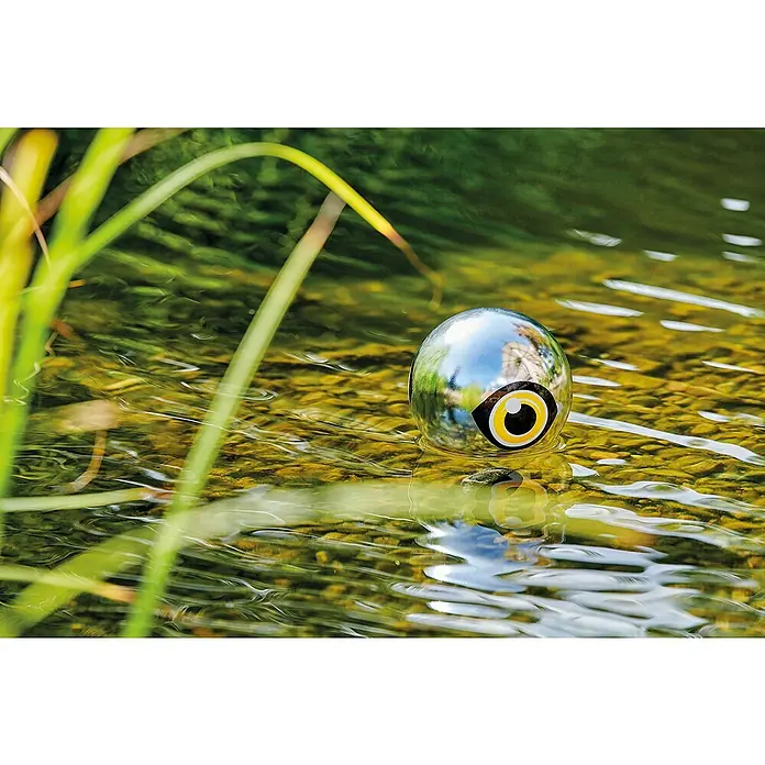 Pontec Reiherschreck PondoScare Ball - L x B x H: 150 x 150 x 168 mm, Geeignet für: Gartenteiche - Das Bild zeigt einen silbernen Sphero Roboter mit einem Auge im flachen Wasser, umgeben von grüner Vegetation. Die Spiegelung ist klar.