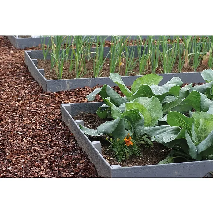 Oase Beeteinfassung & Teichrand PondEdge - L x H: 25.000 x 7 mm, Breite: 140 mm - Hochbeete mit frischem Gemüse und Holzhackschnitzeln auf dem Boden, ideal für den Anbau im eigenen Garten.