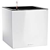 Lechuza Pflanzkasten Canto Premium (Außenmaß (L x B x H): 40 x 40 x 40 cm, Kunststoff, Weiß Glänzend) | BAUHAUS