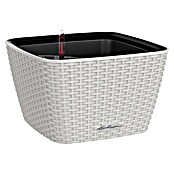 Lechuza Cottage Pflanzschale eckig Bacino (Außenmaß (L x B x H): 30 x 30 x 18 cm, Kunststoff, Lichtgrau) | BAUHAUS