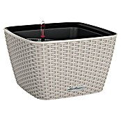 Lechuza Cottage Pflanzschale eckig Bacino (Außenmaß (L x B x H): 30 x 30 x 18 cm, Kunststoff, Sandbraun) | BAUHAUS