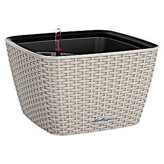 Lechuza Cottage Pflanzschale eckig Bacino (Außenmaß (L x B x H): 30 x 30 x 18 cm, Kunststoff, Sandbraun)