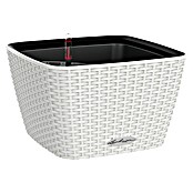Lechuza Cottage Pflanzschale eckig Bacino (Außenmaß (L x B x H): 30 x 30 x 18 cm, Kunststoff, Weiß) | BAUHAUS