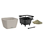 Lechuza Cottage Pflanzschale eckig Bacino (Außenmaß (L x B x H): 30 x 30 x 18 cm, Kunststoff, Sandbraun) | BAUHAUS