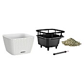 Lechuza Cottage Pflanzschale eckig Bacino (Außenmaß (L x B x H): 30 x 30 x 18 cm, Kunststoff, Weiß) | BAUHAUS