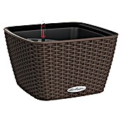 Lechuza Cottage Pflanzschale eckig Bacino (Außenmaß (L x B x H): 30 x 30 x 18 cm, Kunststoff, Mokka) | BAUHAUS