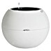 Lechuza Pflanztopf Puro Color 50 