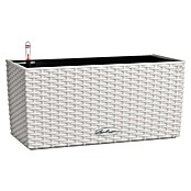 Lechuza Cottage Balkonkasten Blaconera (Max. Außenlänge: 40 cm, Kunststoff, Lichtgrau) | BAUHAUS